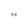 14k White Gold Stud Earrings with Black Cubic Zirconia(4mm)